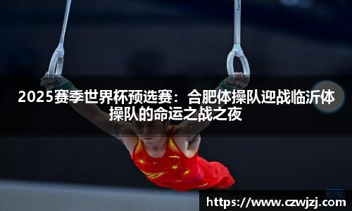 2025赛季世界杯预选赛：合肥体操队迎战临沂体操队的命运之战之夜